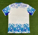 Honduras 2RD Away Fans  1:1 Quality Soccer Jersey  23-24