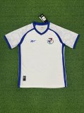 Panama Away  Fans 1:1 Quality Soccer Jersey    23-24