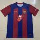 Barcelona Special Edition  Fans 1:1 Quality Soccer Jersey    23-24