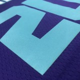 NBA Hornets Jordan HAYWARO #20 Top Quality Hot Pressing