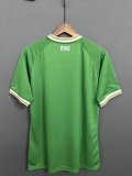 Ireland  Home  fans  23-24