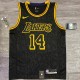 Los Angeles Lakers Black Mamba Great Snake Edition #14 GREEN 1:1 Quality NBA Season Jerseys