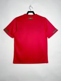 Retro  Portugal Home 1:1 Quality Soccer Jersey  2010