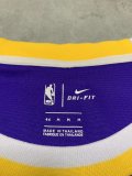 NBA Laker purple  Davis No.3 1:1