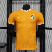 Ivory Coast home player 1:1 Quality Soccer Jersey   25-26