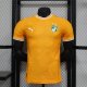 Ivory Coast home player 1:1 Quality Soccer Jersey   25-26