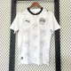 Egypt Away Fans 1:1 Quality Soccer Jersey  26-27 (2026)