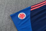 Colombia Training Special Edition  Fans 1:1 Quality Soccer Jersey 26-27（2026）