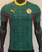 Algeria Away player 1:1 Quality Soccer Jersey  26-27(2026)