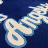 Los Angeles Lakers Blue Latin Night 23 James  round neck  NBA Jerseys 2023