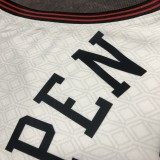 Chicago Bulls City Edition  White  #33 PIPPEN 1:1 Quality NBA  Season Jerseys  2023