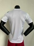 Guinea  Home fans 1:1 Quality Soccer Jersey  24-25