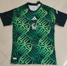 Mexico Training Special Edition Fans 1:1 Quality Soccer Jersey   26-27 (2026)