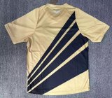 Paranaense away  Fans   1:1 Quality Soccer Jersey   24-25