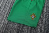 Retro Portugal Home Long Sleeve Kids  1:1 Quality Soccer Jersey   2004