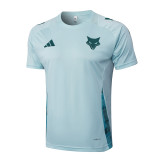Cruzeiro  training fans  1:1 Quality Soccer Jersey  24-25