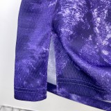 Los Angeles Lakers  Purple Honor Edition 6 James  round neck  NBA Jerseys 2023