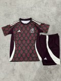 Mexico home Fans suit  1:1 Quality Soccer Jersey   24-25