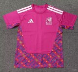 Mexico Goalkeeper   Fans  1:1 Quality Soccer Jersey  26-27（2026）