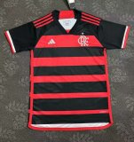 Flamenco home Fans  1:1  24-25