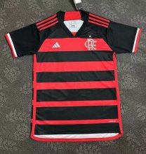 Flamenco home Fans  1:1  24-25