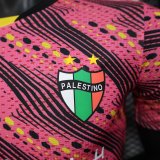 Palestine  Special Edition  Player 1:1 Quality Soccer Jersey  25-26