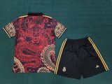 Real Madrid Special Edition fans suit  1:1 Quality Soccer Jersey    24-25