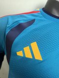Spain Training Special Edition Player 1:1 Quality Soccer Jersey 26-27（2026）
