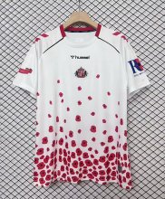 Sunderland Special Edition fans 1:1 Quality Soccer Jersey  24-25