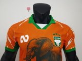 Ivory Coast Special Edition player  1:1 Quality Soccer Jersey   25-26