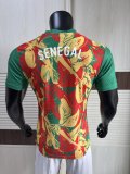 Senegal Special Edition player   1:1 Quality Soccer Jersey   25-26