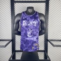 Los Angeles Lakers  Purple Honor Edition 6 James  round neck  NBA Jerseys 2023