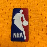 Los Angeles Lakers Yollow  Kobe  #8 BRYANT V-neck  1:1 Quality NBA Season Jerseys  1999-2000