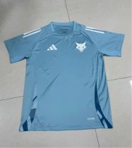 Cruzeiro Training clothes Fans 1:1 Quality Soccer Jersey   24-25