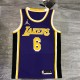 Los Angeles Lakers   purple 6 James  round neck  Flying Man Limited NBA Jerseys