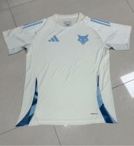 Cruzeiro Training clothes Fans 1:1 Quality Soccer Jersey   24-25