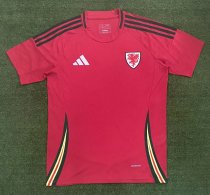 Welsh Home Fans 1:1 Quality Soccer Jersey  24-25