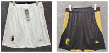 Belgium pant pants shorts  away home third away   1:1