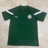 Palmeiras Training clothing green fans 1:1 Quality Soccer Jersey    23-24