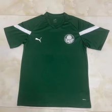 Palmeiras Training clothing green fans 1:1 Quality Soccer Jersey    23-24