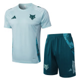 Cruzeiro  training fans  1:1 Quality Soccer Jersey  24-25