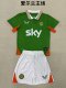 Ireland  Home Fans 1:1 Quality Soccer Jersey    25-26 (kids and man )