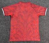 Turkey Legendary Special Edition Fans 1:1 Quality Soccer Jersey   26-27 (2026)