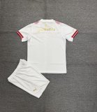 PSV Eindhoven  Special Edition Fans  (Kids and Man) 16-2XL 1:1 Quality Soccer Jersey  26-27