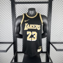 Los Angeles Lakers  Honor Edition #23 JAMES NBA Jerseys 2024