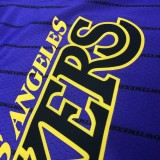 Los Angeles Lakers #23 JAMES  Purple 1:1 Quality NBA Season Jerseys 2018