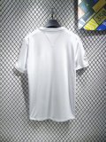 Santos Special Edition fans 1:1 Quality Soccer Jersey   24-25