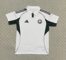 Celtic Special Edition Fans  1:1 Quality Soccer Jersey  25-26