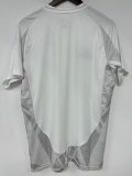 Al-Nassr FC third  Away  Fans 1:1 Quality Soccer Jersey    25-26