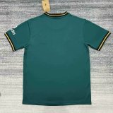Liverpool Special Edition Fans 1:1 Quality Soccer Jersey   25-26